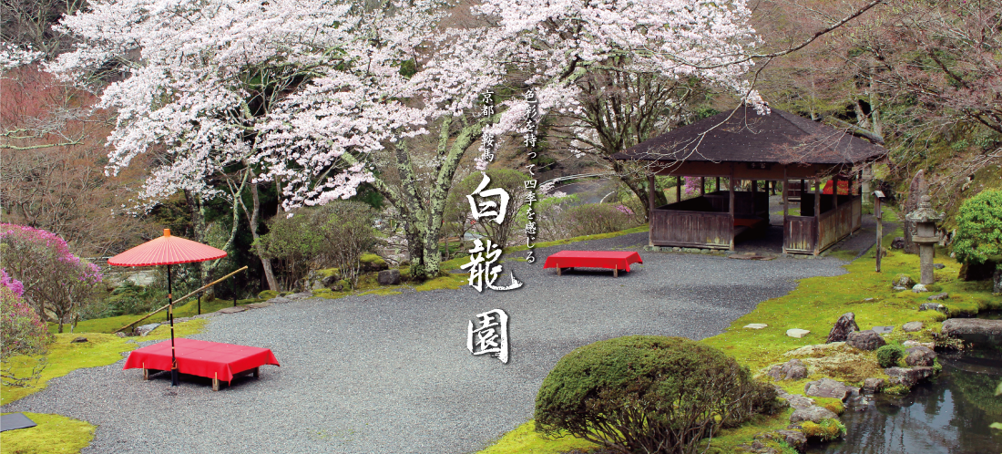 白龍園